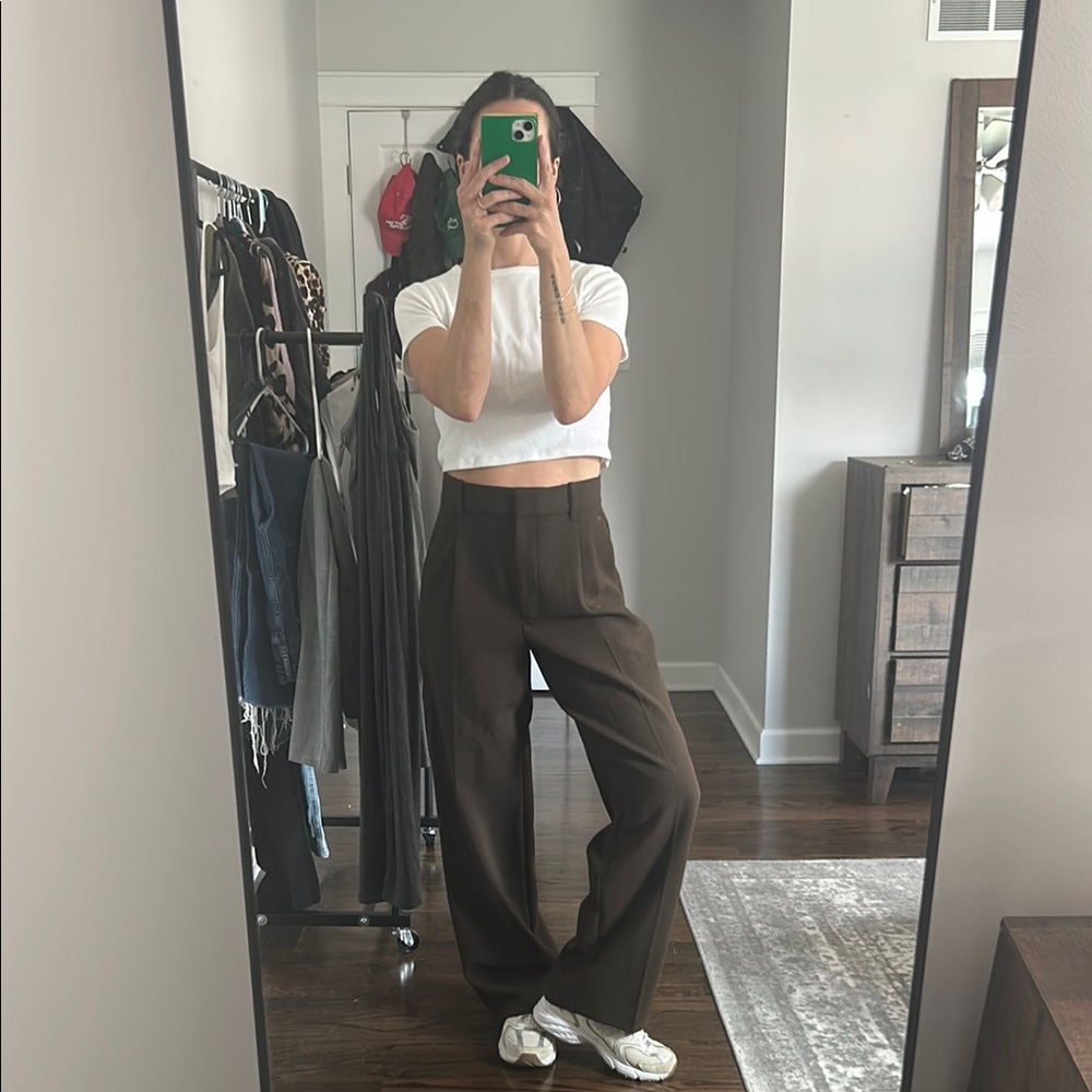 Aritzia brown trousers
